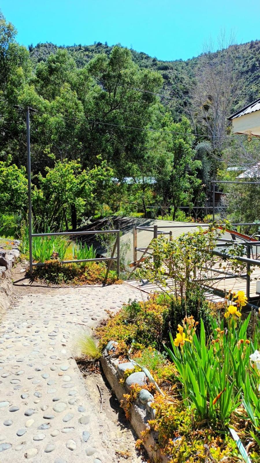 Hostal Los Penones San Alfonso Bagian luar foto